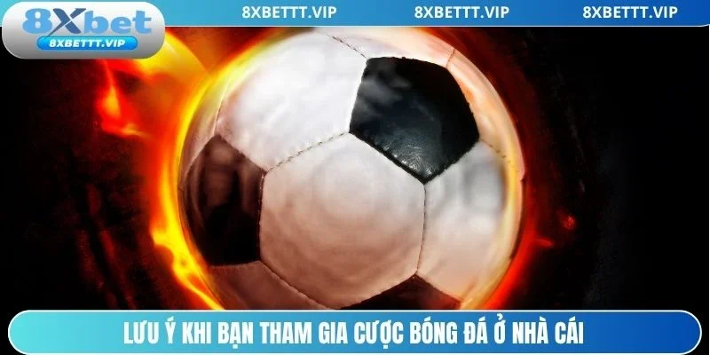 Một vài điều quan trọng khi cược bóng đá tại 8xbet